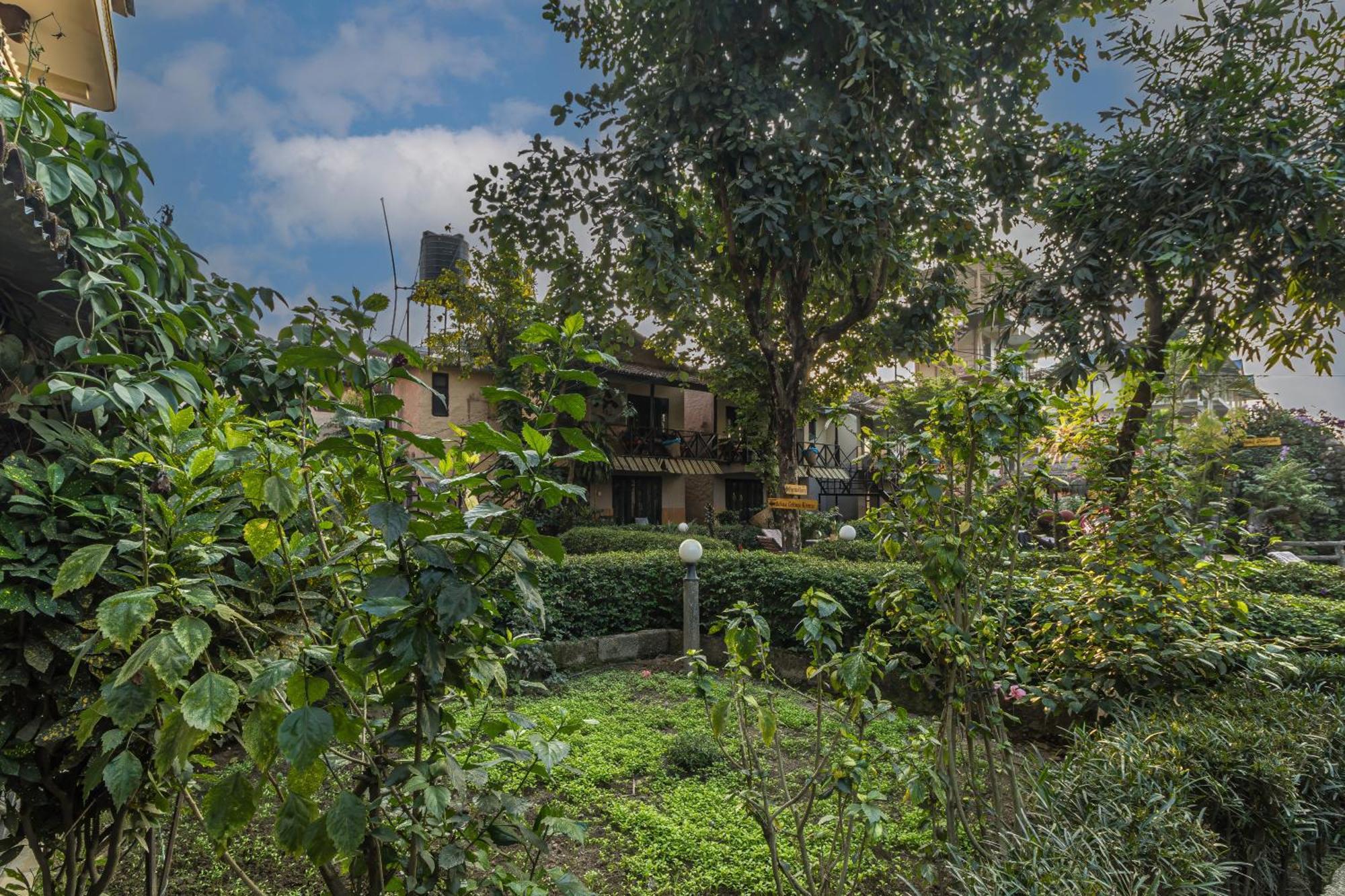 Hotel Riverside With Swimming Pool Sauraha Exterior photo